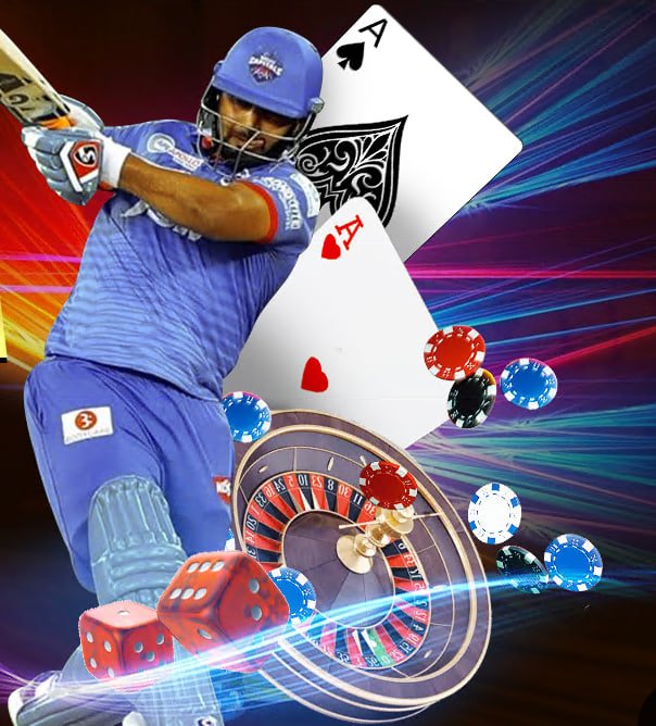 bb11
